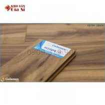 San-go-12mm-galamax-gold-h-2704-01