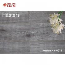 San-go-cong-nghiep-12mm-hasters-h8014