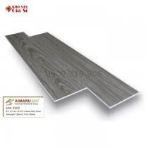 San-nhua-hem-khoa-aimaru-4202