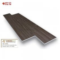 San-nhua-hem-khoa-aimaru-4203