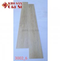 San-nhua-hem-khoa-apollo-hl-3002-6-1