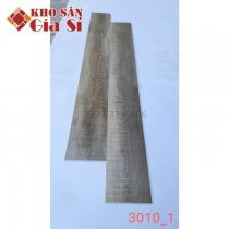 San-nhua-hem-khoa-apollo-hl-3010-1-1