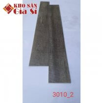 San-nhua-hem-khoa-apollo-hl-3010-2-1