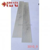 San-nhua-hem-khoa-apollo-hl-3010-9-1