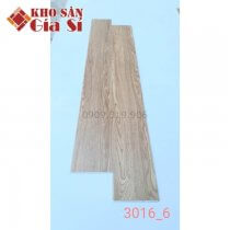 San-nhua-hem-khoa-apollo-hl-3016-6-1