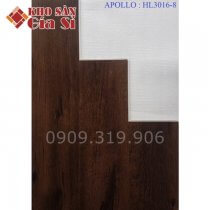 San-nhua-hem-khoa-apollo-hl-3016-8