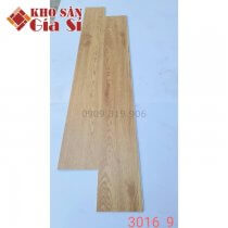 San-nhua-hem-khoa-apollo-hl-3016-9-1