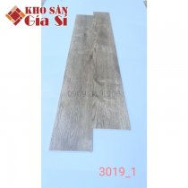 San-nhua-hem-khoa-apollo-hl-3019-1-1