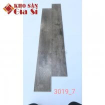 San-nhua-hem-khoa-apollo-hl-3019-7-1