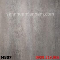 San-nhua-hem-khoa-railflex-4mm-m807