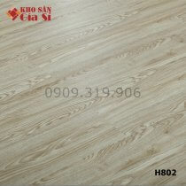 San-nhua-hem-khoa-samhouse-4mm-h802