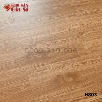 San-nhua-hem-khoa-samhouse-4mm-h803