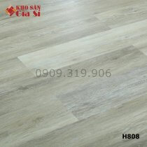 San-nhua-hem-khoa-samhouse-4mm-h808