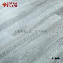 San-nhua-hem-khoa-samhouse-4mm-h809