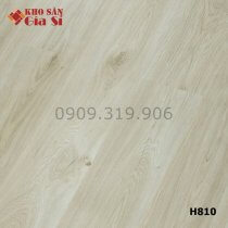San-nhua-hem-khoa-samhouse-4mm-h810