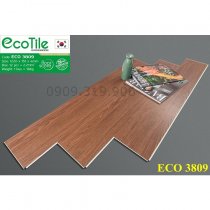 San-nhua-hem-khoa-ecotile-3809