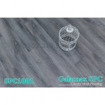 San-nhua-hem-khoa-galamax-spc-1001