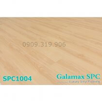San-nhua-hem-khoa-galamax-spc-1004