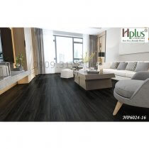 San-nhua-hem-khoa-hplus-6024-16-01