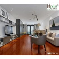 San-nhua-hem-khoa-hplus-81115-1-01