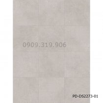 San-nhua-hem-khoa-pd-ds2273-01