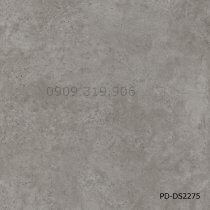 San-nhua-hem-khoa-pd-ds2275