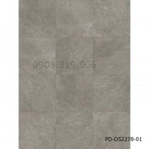 San-nhua-hem-khoa-pd-ds2278-01