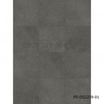 San-nhua-hem-khoa-pd-ds2279-01
