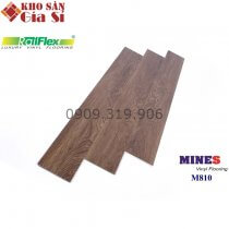 San-nhua-hem-khoa-railflex-m810-01