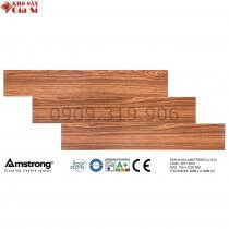 San-nhua-gia-go-amstrong-spc3814